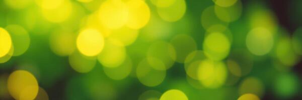 Soft green bokeh creates a tranquil and dreamy atmosphere in nature during sunny daylight photo