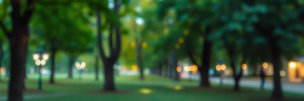 Evening stroll through a serene park with soft lighting and lush trees photo