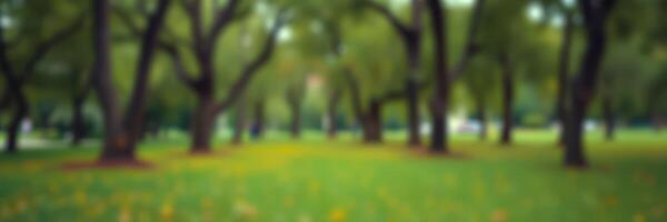 Lush green park with tall trees creating a tranquil atmosphere in the afternoon sunlight photo