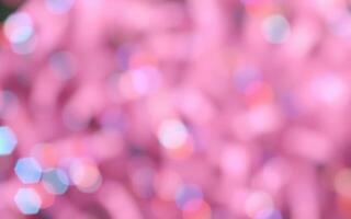 Colorful abstract background featuring vibrant pink hues and sparkling light reflections during a festive celebration photo