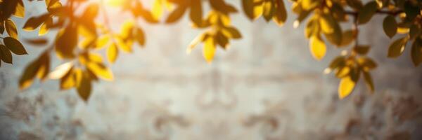 Golden leaves swaying gently in the breeze during a tranquil afternoon in a serene outdoor setting photo