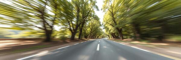 Driving through a scenic tree-lined road on a sunny day in the countryside photo