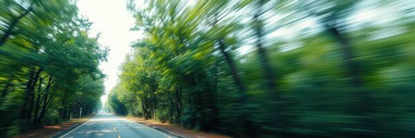 Scenic drive through a tree-lined road in early morning light capturing nature's beauty and tranquility photo