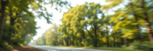 Scenic view of a tree-lined road during daytime in a serene natural environment photo