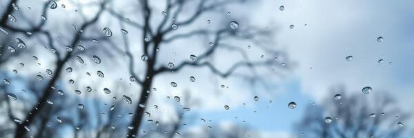 Raindrops cling to glass as trees stand bare against a cloudy sky in a tranquil nature scene photo