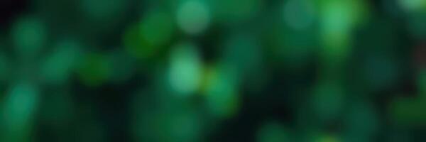 Vivid green bokeh and soft light create a serene atmosphere in a natural setting photo