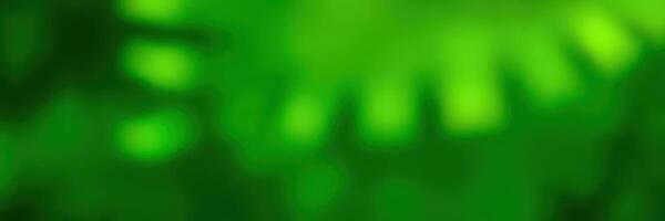 Vibrant green foliage captured in an abstract display of nature's beauty during a sunny afternoon photo