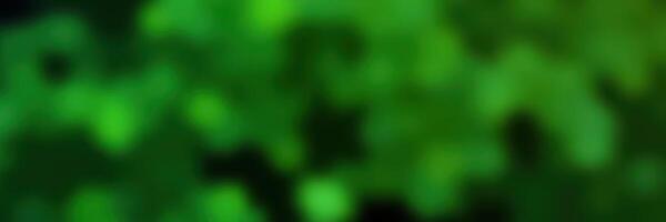Vibrant green bokeh effect created by light patterns in nature during a sunny day in a peaceful outdoor setting photo