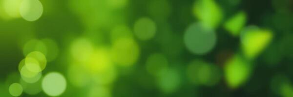 Lush green background with vibrant bokeh showcasing natural light and organic textures in a tranquil outdoor setting photo