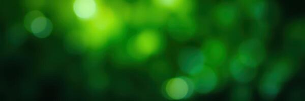 Lush green bokeh creates a tranquil and serene atmosphere in a forest setting on a sunny day photo