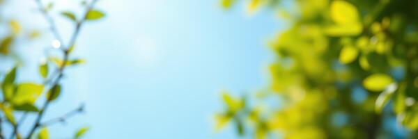 Vibrant green leaves sway gently under a clear blue sky on a sunny day photo