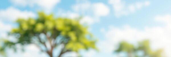 Vibrant green trees against a bright blue sky during a sunny day photo