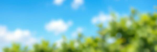 Sunny day with a clear blue sky and lush green foliage in a tranquil outdoor setting ideal for relaxation or nature walks photo