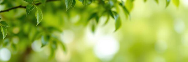 Fresh green leaves gently sway in the breeze during a bright sunny day in a vibrant natural environment photo