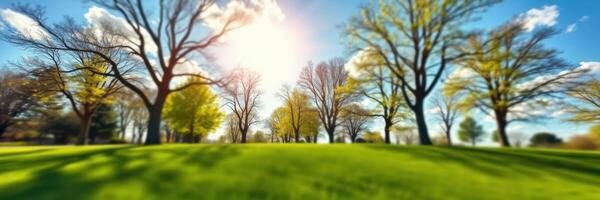 Lush green park under a bright sun with scattered clouds and vibrant trees during a sunny afternoon photo