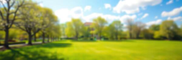 Sunny afternoon in a vibrant green park with trees and a clear blue sky photo