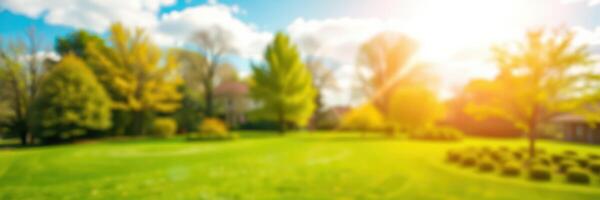Bright sunny afternoon in a lush garden filled with vibrant trees and a clear blue sky photo