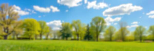 Lush green landscape with vibrant trees under a bright blue sky dotted with clouds during a sunny afternoon in spring photo