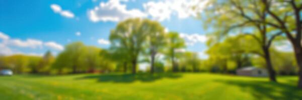 Bright sunlit park with lush green trees on a beautiful spring day in the afternoon photo