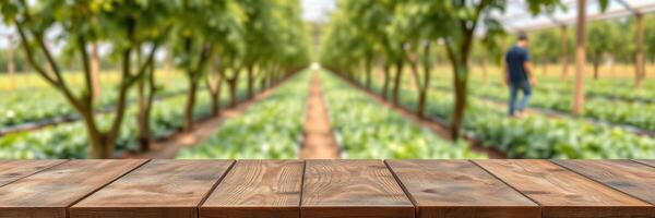 Lush green farm with rows of crops and a farmer tending plants during a sunny day in spring photo