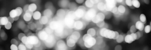 Soft bokeh lights create a dreamy atmosphere in an outdoor setting during twilight photo