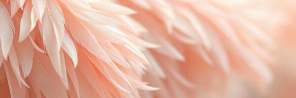 Delicate pink feathers create a soft and elegant texture for artistic purposes photo