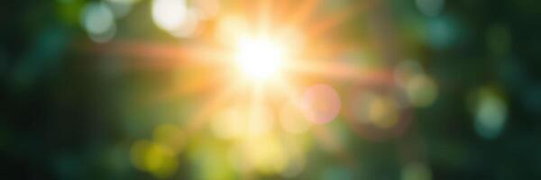 Sunlight filters through tree foliage creating a warm, radiant atmosphere in a serene natural setting photo