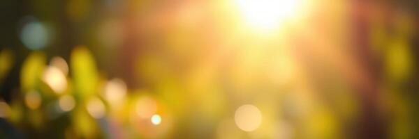 Sunlight filters through lush greenery in a tranquil natural setting during a warm afternoon photo