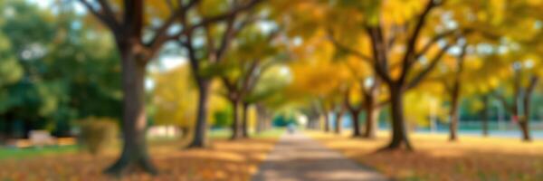 Colorful autumn pathway lined with trees and fallen leaves in a serene park setting during daytime photo