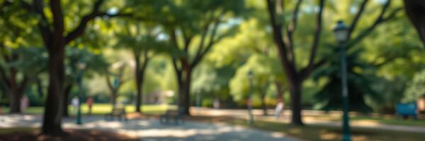 Lush green park pathways bustling with visitors enjoying nature on a sunny day photo