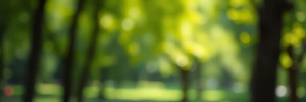 Serene park setting with blurred greenery and soft sunlight during a peaceful afternoon photo