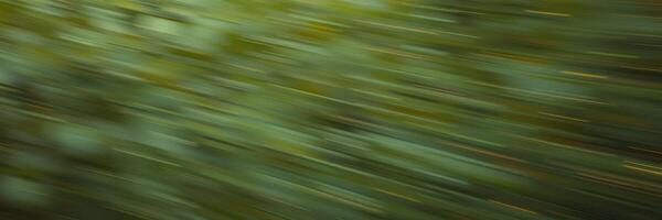 Motion blur of green foliage during a sunny day in a forest, capturing vibrant colors and dynamic movement photo