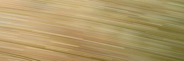 Dynamic motion blur conveying speed and energy in a golden field during sunset photo
