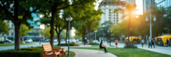 Outdoor park area in a city with benches and trees during sunset photo