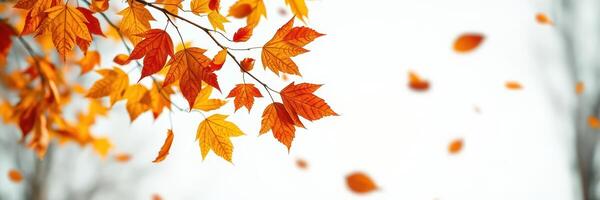 Autumn leaves drift gracefully from branches in a serene landscape during a calm afternoon in late fall photo