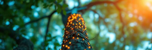 Twinkling lights wrap around a tree in a serene outdoor setting during golden hour photo