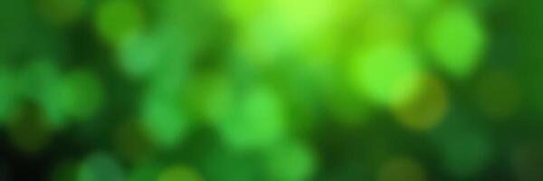 Vibrant green bokeh lights create a calming atmosphere in a lush outdoor setting during a sunny afternoon photo