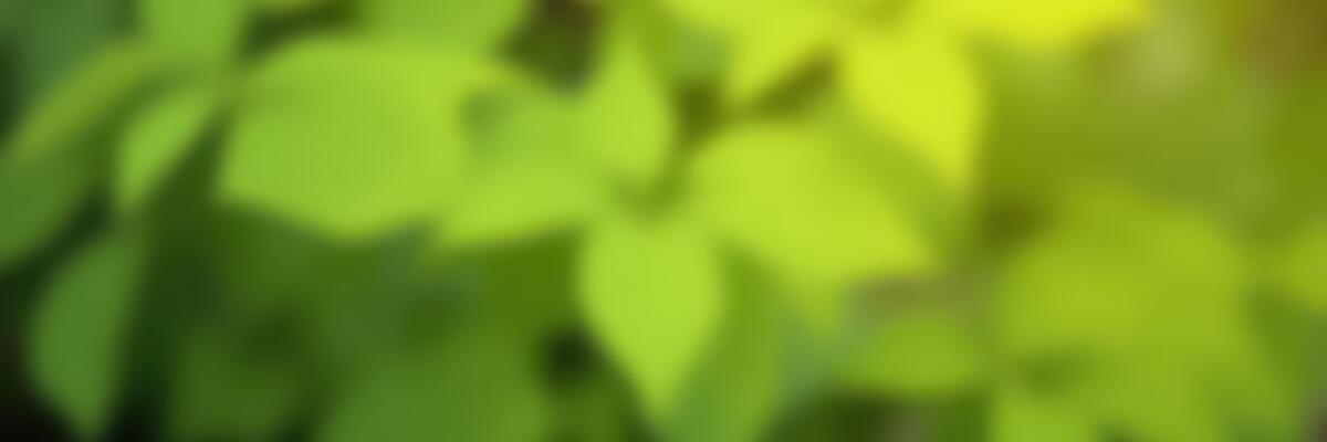 Pdf Background Stock Photos, Images and Backgrounds for Free Download