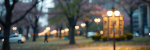 Evening strolls in a tranquil park with glowing street lamps and blooming trees photo
