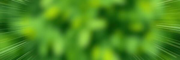 Vibrant green foliage with a burst of light showcases natural beauty in a lush environment photo