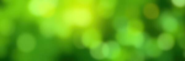 Vibrant green bokeh background with blurred shapes creating a soothing atmosphere in nature photo