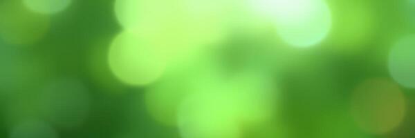 Nature's vibrant green bokeh creates a refreshing and calming atmosphere in a sunny outdoor setting during spring photo