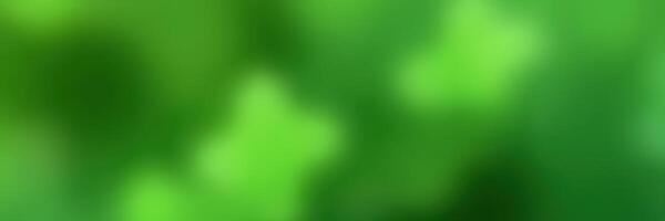 Vibrant green foliage captured in a lush garden during a sunny afternoon photo