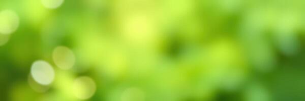 Soft green bokeh background creates a tranquil atmosphere in nature with light filtering through leaves photo
