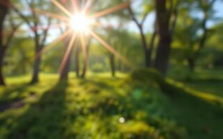 Morning sunlight filters through trees in a vibrant green park, creating a serene atmosphere for relaxation and enjoyment photo