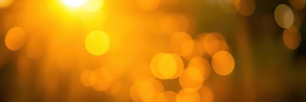 Shimmering golden bokeh creates a warm atmosphere during sunset outdoors photo
