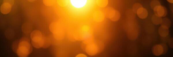 Warm sunlight filters through trees, creating a stunning golden glow in the early evening photo