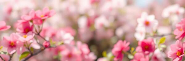 Pink blossoms bloom vibrantly in a garden during springtime, creating a serene and colorful atmosphere photo
