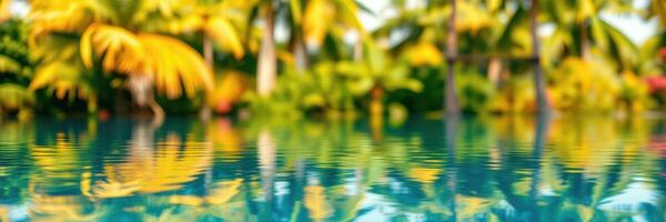 Crystal clear water reflects tropical foliage in a serene outdoor pool setting during a sunny day photo
