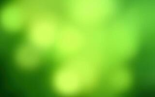 Vibrant green abstract background with soft bokeh effect in a natural setting photo